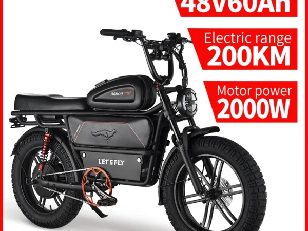 LET'S FLY Mountain bike 2000W 37MPH Adults City Electric Bicycle 48V 60AH 20 Inch Fat Tire Courier E Bikes Oil Brake Ebike