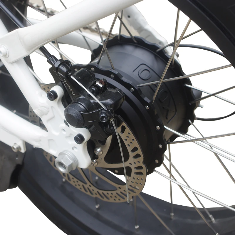 48V 1000W Fat Tire Rear Hub Motor – 20” & 26” - Image 22