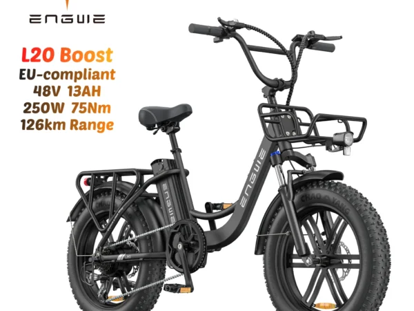 250 watt Electric Bicycle for Ladies