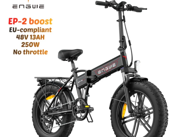 250W Electric Bicycle 48V13AH