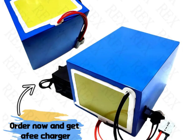 60V 50AH NCM Samsung Cells with Smart Charger