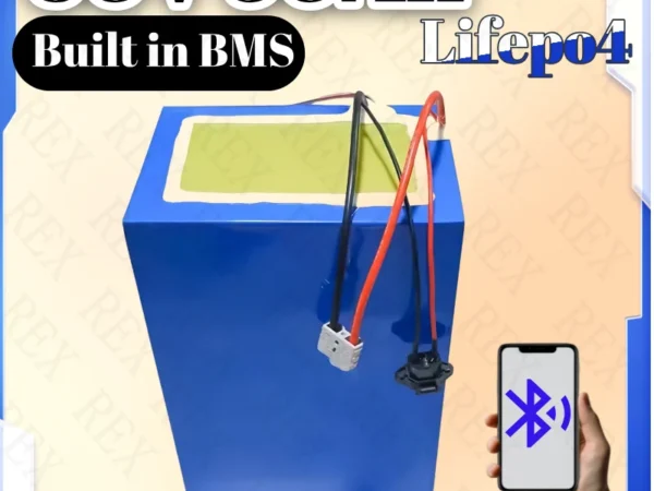 60V 50Ah LiFePO4 Battery Pack with BMS & Charger